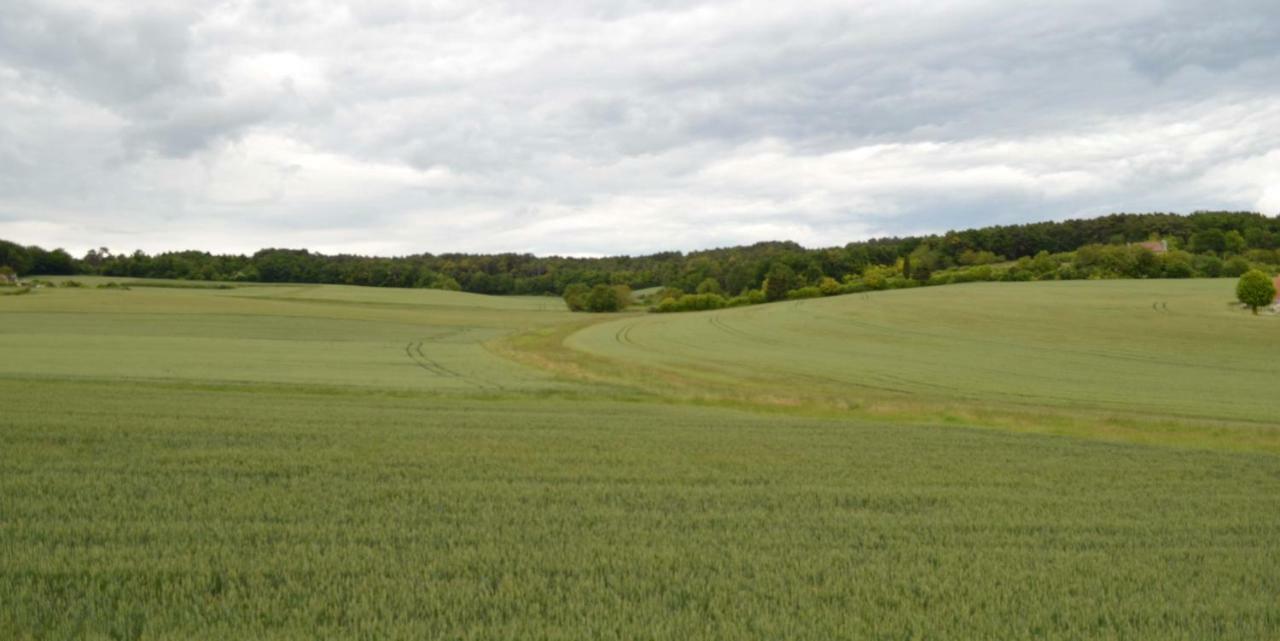 L'Abbesse Vila Scorbe-Clairvaux Exterior foto